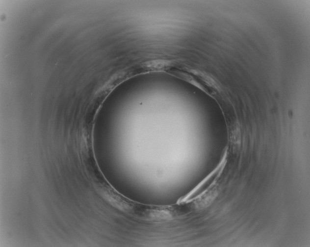 X0000072500572200607211252