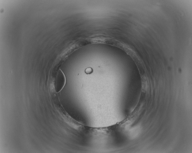 X0000072500573200607211252