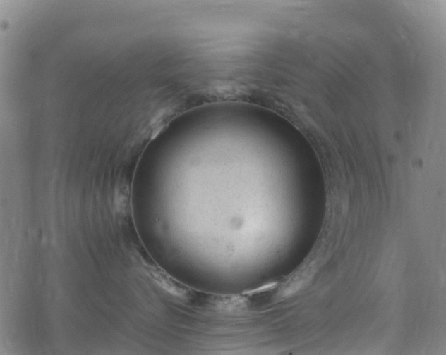 X0000072500576200607211252