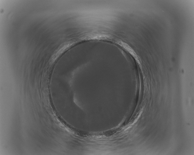 X0000072500577200607211252