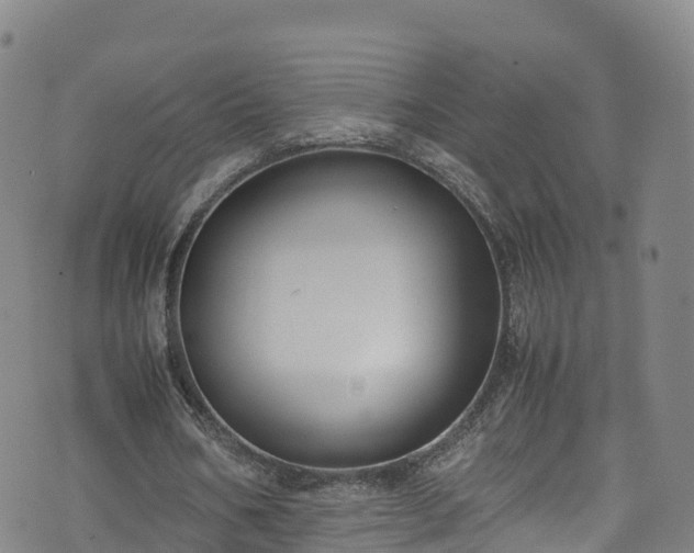 X0000072500578200607211252