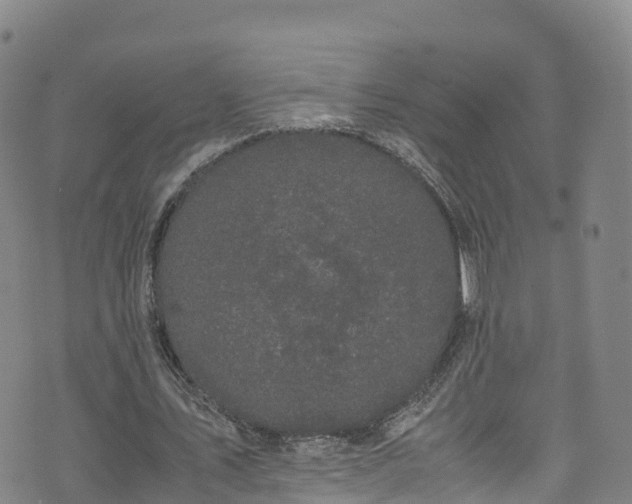 X0000072500579200607211252