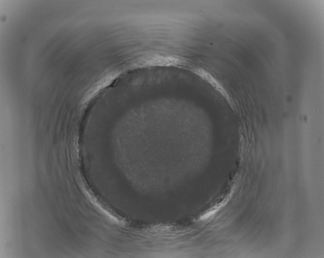 X0000072500581200607211251