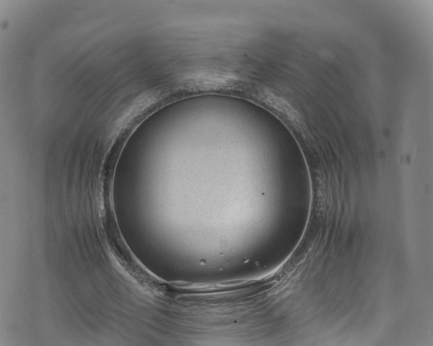 X0000072500582200607211251