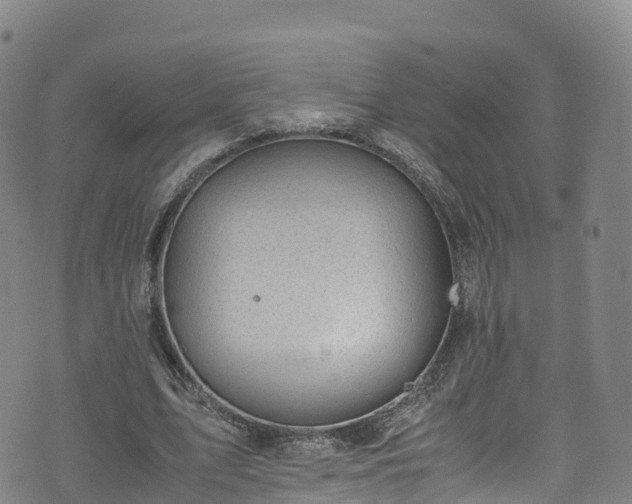 X0000072500583200607211251