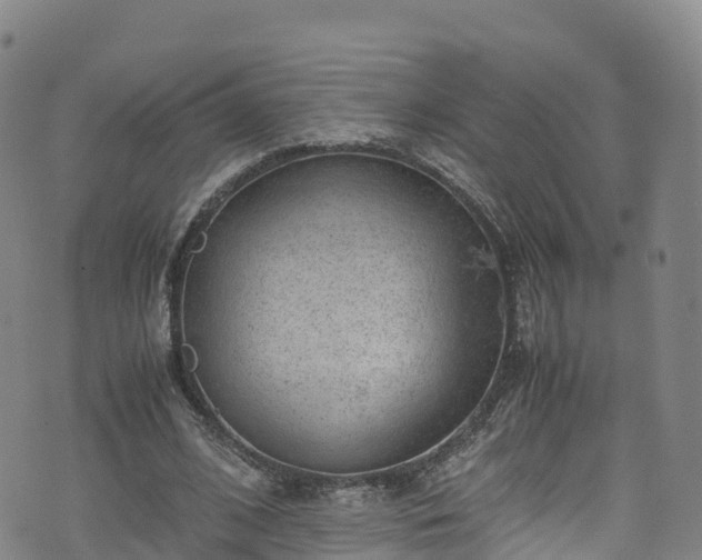 X0000072500584200607211251