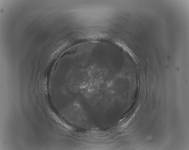 X0000072500585200607211251