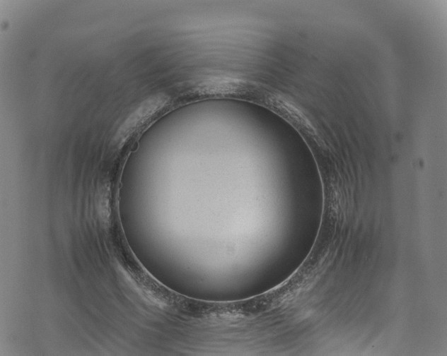 X0000072500586200607211251