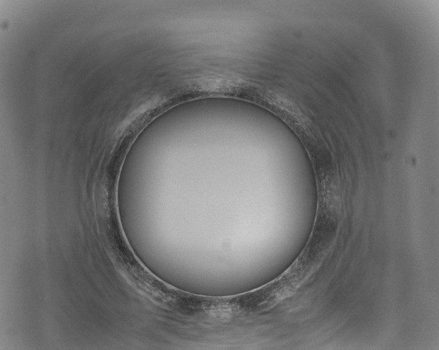 X0000072500587200607211251