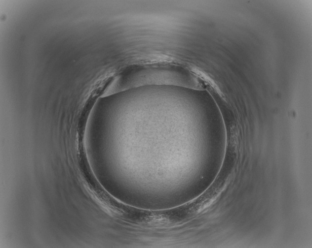 X0000072500589200607211251