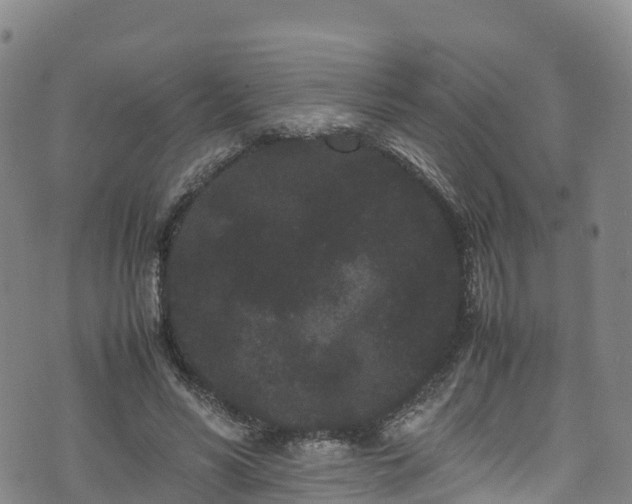 X0000072500590200607211251