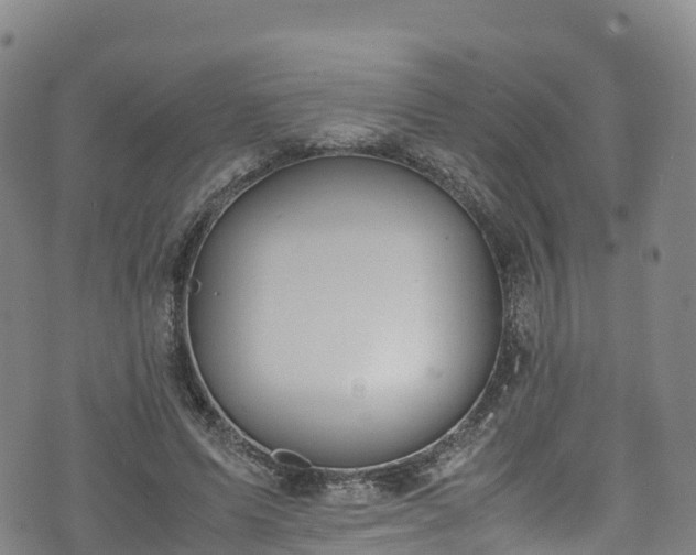 X0000072500591200607211251