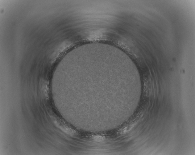 X0000072500592200607211251