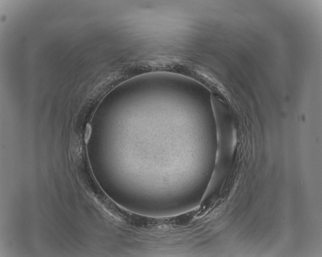 X0000072500593200607211251