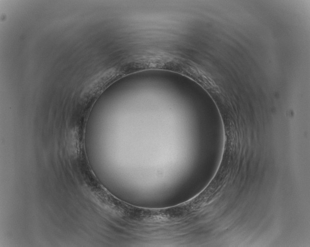 X0000072500594200607211251