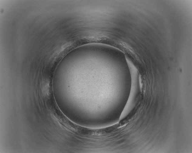 X0000072500596200607211251