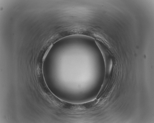 X0000072500597200607211251