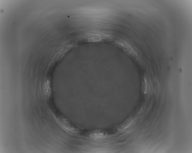 X0000072500598200607211251