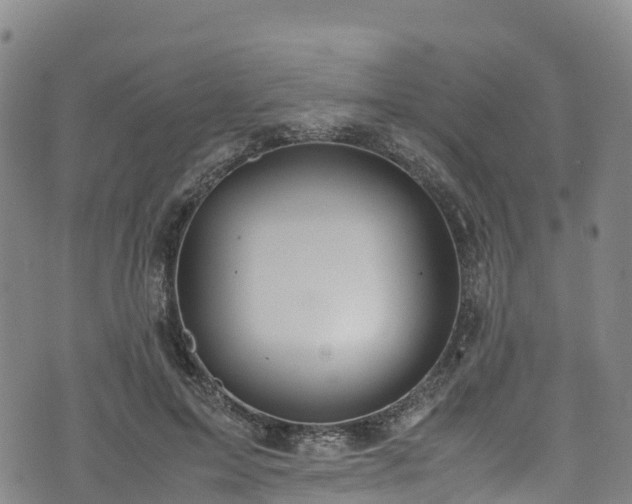 X0000072500599200607211251