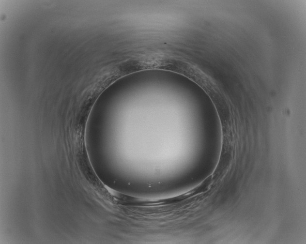 X0000072500601200607211251