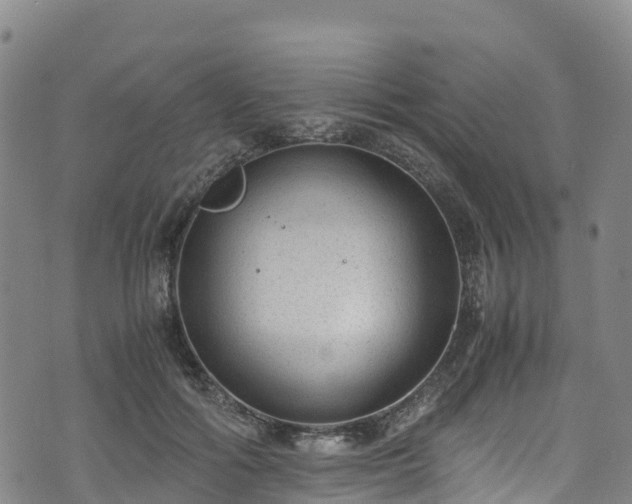 X0000072500602200607211251