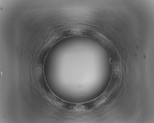 X0000072500603200607211251