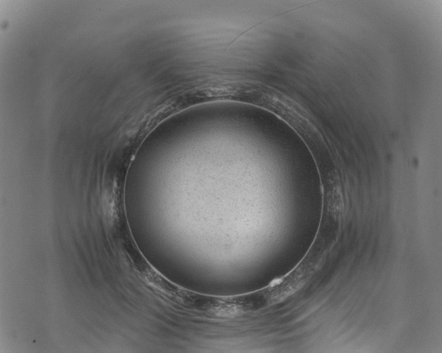 X0000072500604200607211251