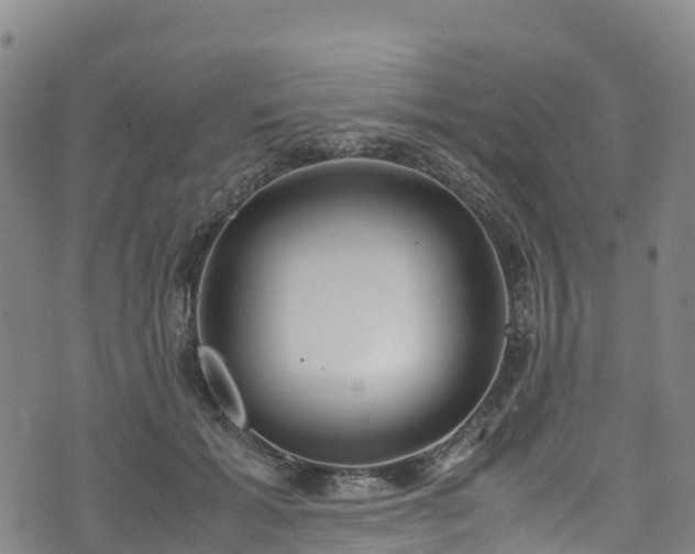 X0000072500605200607211251