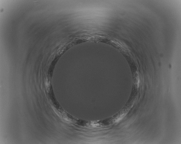 X0000072500607200607211251