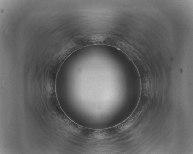 X0000072500608200607211251