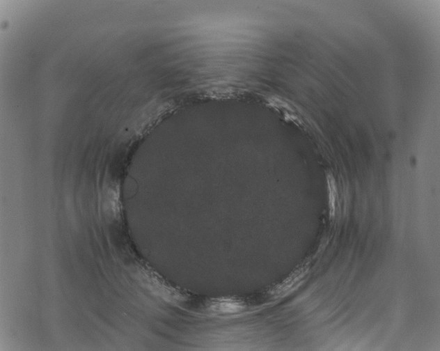 X0000072500610200607211251