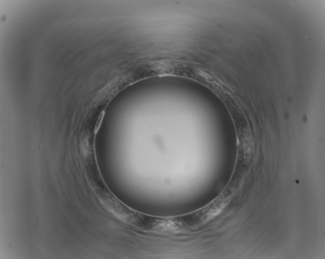 X0000072500611200607211251