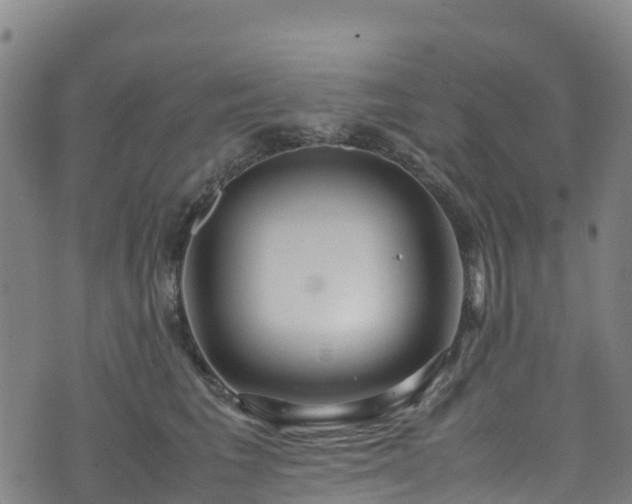 X0000072500613200607211251