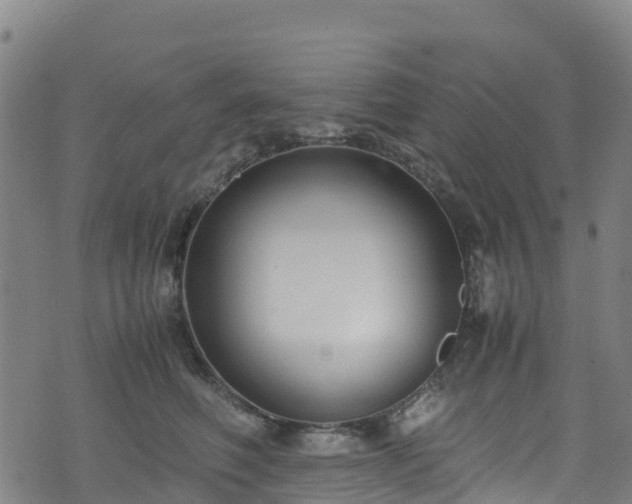 X0000072500614200607211251