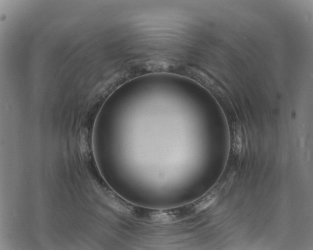 X0000072500616200607211251