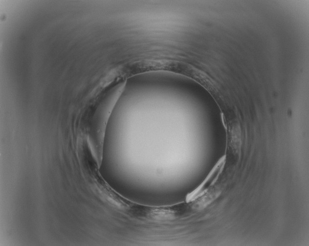 X0000072500617200607211251