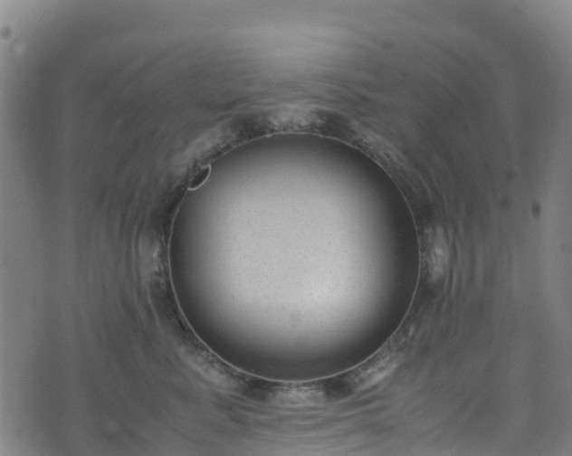 X0000072500619200607211251