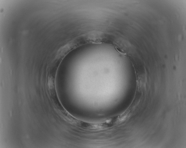 X0000072500623200607211251