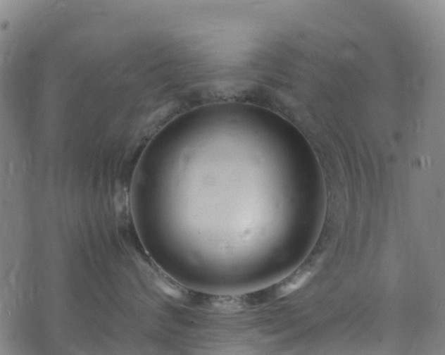 X0000072500624200607211251