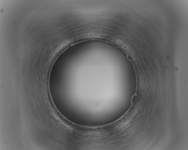 X0000072500625200607211250