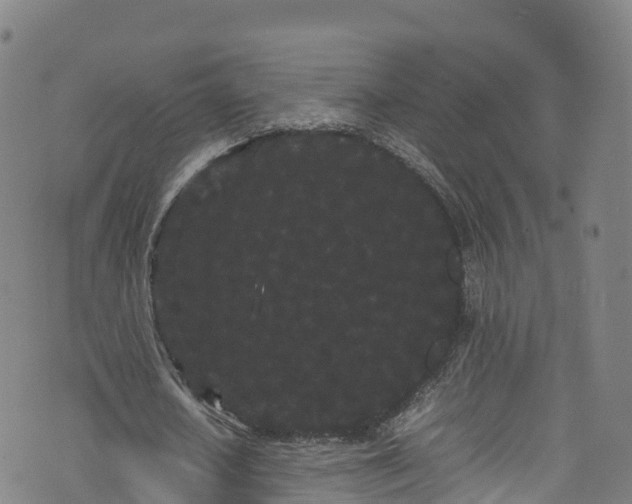 X0000072500626200607211250