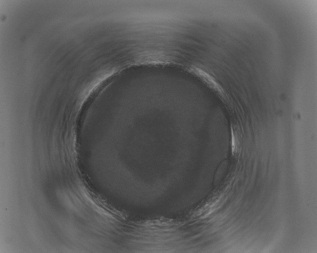 X0000072500627200607211250