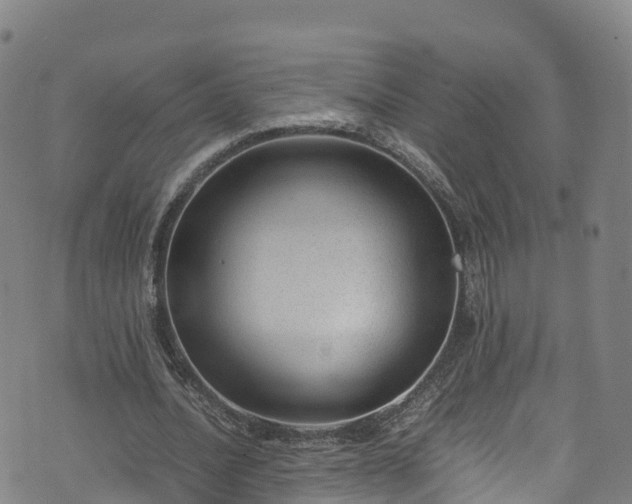 X0000072500628200607211250