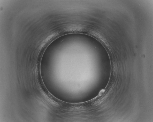 X0000072500629200607211250