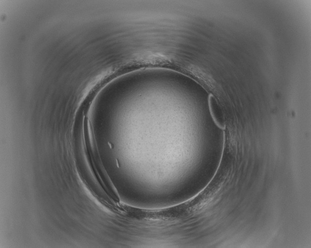 X0000072500630200607211250