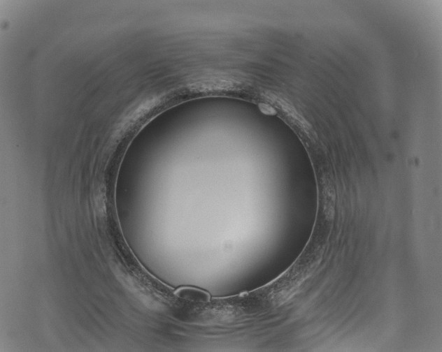 X0000072500631200607211250