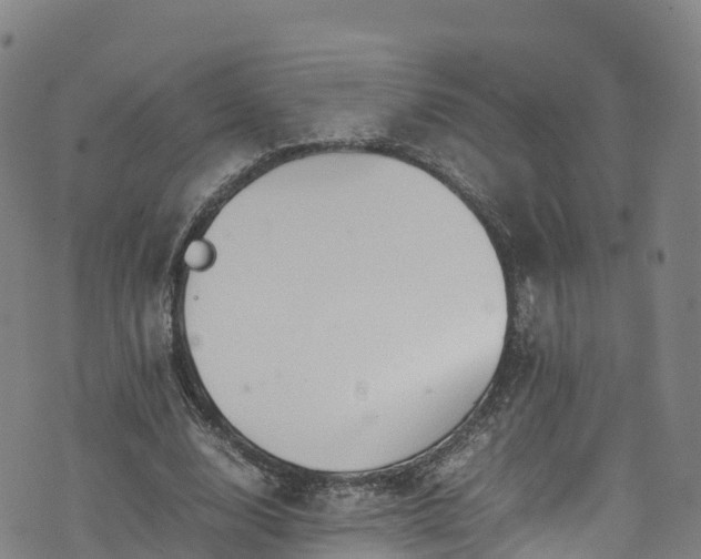 X0000072500632200607211250