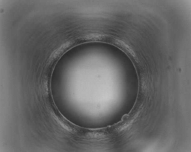 X0000072500633200607211250