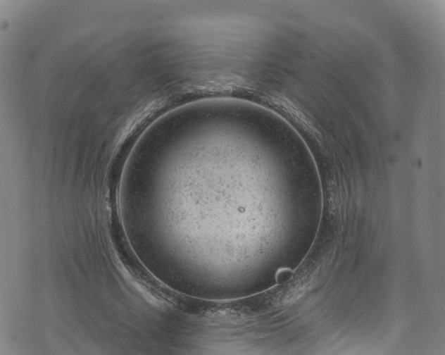 X0000072500634200607211250