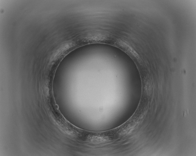 X0000072500635200607211250